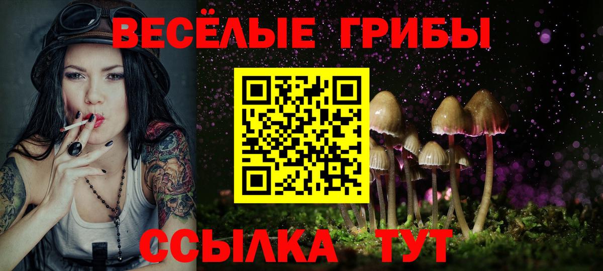 Галлюциногенные грибы прущие грибы  где купить наркоту  Вход с VPN  Златоуст  Псилоцибиновые грибы ЛСД 